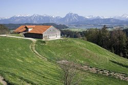 Die Alpe Beichelstein im Allgäu
